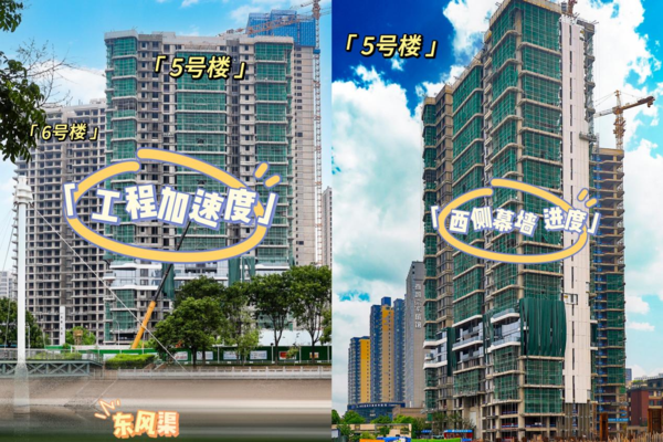 未来天奕